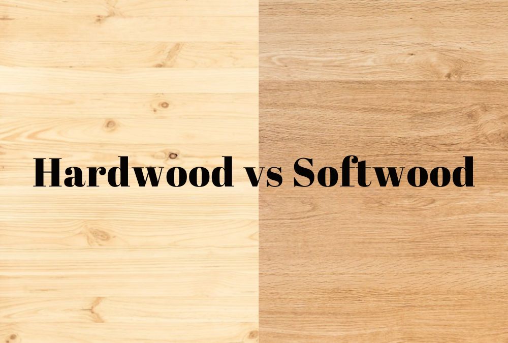 Different Wood Types Used in Furniture - 02
