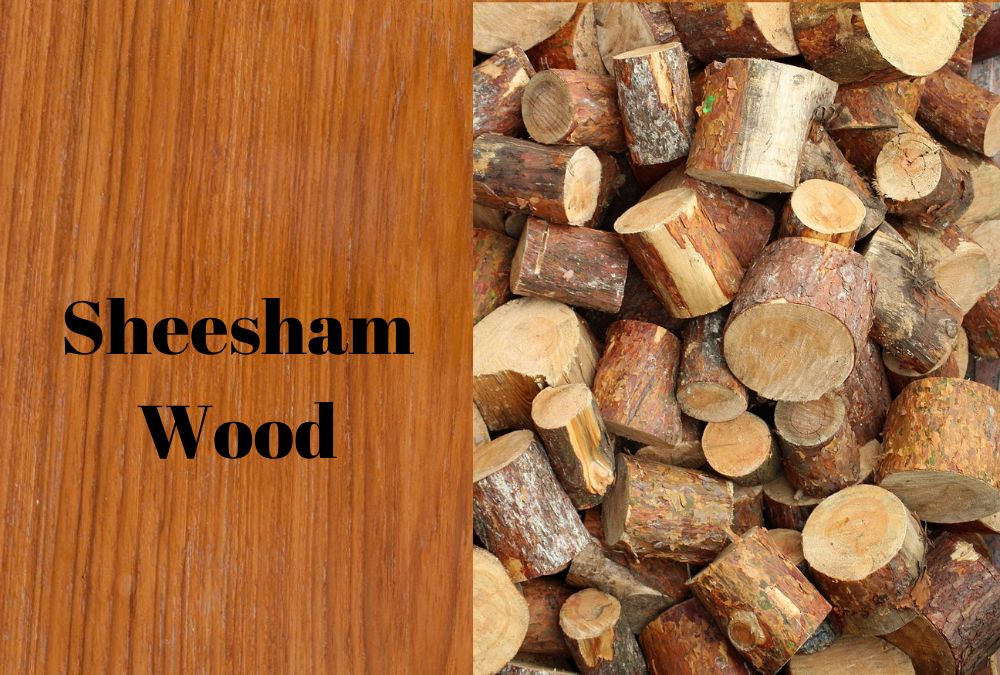 Different Wood Types Used in Furniture - 10