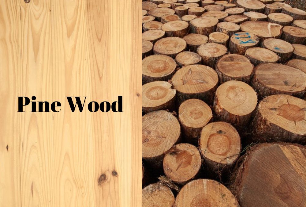 Different Wood Types Used in Furniture - 11
