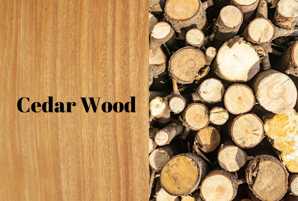 Different Wood Types Used in Furniture - 13