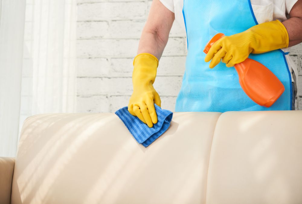 How to clean a Leather Sofa - 02